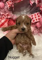 processed/9dcf0b37-5340-40e1-bae9-709ac4ee9972/listing/97225737-30f2-4ea4-8fa0-f4635e132d2c/11f71682-ef76-4ce3-84f1-4a3bcbd765c5