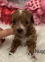 processed/9dcf0b37-5340-40e1-bae9-709ac4ee9972/listing/97225737-30f2-4ea4-8fa0-f4635e132d2c/3227065e-5c17-415a-b992-bcf9bc2c0fcf