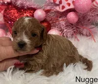 processed/9dcf0b37-5340-40e1-bae9-709ac4ee9972/listing/97225737-30f2-4ea4-8fa0-f4635e132d2c/8b7f4776-56dc-4550-a16d-12d30ccdf241