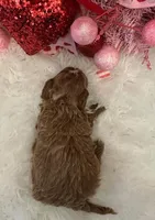 processed/9dcf0b37-5340-40e1-bae9-709ac4ee9972/listing/97225737-30f2-4ea4-8fa0-f4635e132d2c/a3077d28-af96-4bef-a738-291ef0d7c3e7