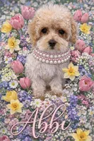 ABBI, a female Maltipoo for sale in Fayetteville, AR – Photo 4 of 5