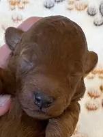 processed/9dcf0b37-5340-40e1-bae9-709ac4ee9972/listing/cc46a945-6869-44a1-9f59-8ab4d36e2fe5/2d772829-6c88-458b-9103-aad928668c28