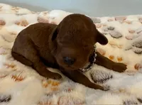 processed/9dcf0b37-5340-40e1-bae9-709ac4ee9972/listing/cc46a945-6869-44a1-9f59-8ab4d36e2fe5/5fec96b9-2b33-48d0-8d97-150b42afb2df