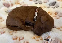 processed/9dcf0b37-5340-40e1-bae9-709ac4ee9972/listing/cc46a945-6869-44a1-9f59-8ab4d36e2fe5/62ab70db-5137-42ed-91df-288fe5aa17fb