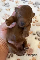 processed/9dcf0b37-5340-40e1-bae9-709ac4ee9972/listing/cc46a945-6869-44a1-9f59-8ab4d36e2fe5/849f1cb7-762d-4e8d-83e8-de7eada42d7f