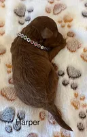 processed/9dcf0b37-5340-40e1-bae9-709ac4ee9972/listing/cc46a945-6869-44a1-9f59-8ab4d36e2fe5/d0c8dd6e-7a1a-4c50-a77a-e3a0879e7965