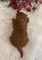 processed/9dcf0b37-5340-40e1-bae9-709ac4ee9972/listing/ea901ffe-5392-4777-ab29-fe101fac9f4c/4b09cb0f-ed4a-4e7b-b4db-638969c76196