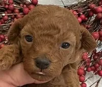 processed/9dcf0b37-5340-40e1-bae9-709ac4ee9972/listing/ea901ffe-5392-4777-ab29-fe101fac9f4c/791e16d8-067b-48a5-b1f1-899314251ee4