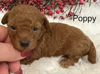 processed/9dcf0b37-5340-40e1-bae9-709ac4ee9972/listing/ea901ffe-5392-4777-ab29-fe101fac9f4c/b73c379b-69de-45be-83a4-f760f3942576