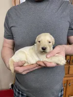 processed/9dcfb97c-c987-40c4-be40-d85f60885c83/listing/55842135-507a-4faf-a771-e43e53301d81/164693b0-35db-41dc-9df0-f4e80092bd46