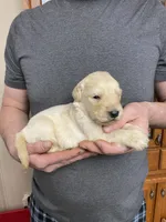 processed/9dcfb97c-c987-40c4-be40-d85f60885c83/listing/55842135-507a-4faf-a771-e43e53301d81/443c6e00-5f31-4626-8ccb-cd893dadb333