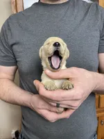 processed/9dcfb97c-c987-40c4-be40-d85f60885c83/listing/55842135-507a-4faf-a771-e43e53301d81/4467672f-c6a2-470b-b876-3821d49a6a86