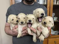 processed/9dcfb97c-c987-40c4-be40-d85f60885c83/listing/55842135-507a-4faf-a771-e43e53301d81/60d4d175-33c4-41fe-b041-138034cb2ba6