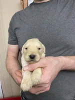 processed/9dcfb97c-c987-40c4-be40-d85f60885c83/listing/55842135-507a-4faf-a771-e43e53301d81/abc18826-6faa-40f7-94b6-153a7da74bdb