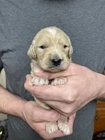 processed/9dcfb97c-c987-40c4-be40-d85f60885c83/listing/ff75570f-811c-4729-97ca-c1ddb133e7e7/8803e251-af5b-4bc8-8073-b92713285917