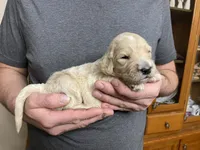 processed/9dcfb97c-c987-40c4-be40-d85f60885c83/listing/ff75570f-811c-4729-97ca-c1ddb133e7e7/ff1112d9-94d3-4300-b1cb-f8be118234c3