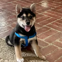 processed/9dd07f46-76e5-41bd-82ce-4d5454d90aef/facility/92d6041a-6763-4103-aca1-2d6f91a3beb5