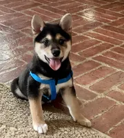 processed/9dd07f46-76e5-41bd-82ce-4d5454d90aef/facility/92d6041a-6763-4103-aca1-2d6f91a3beb5