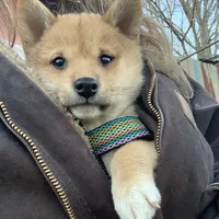 processed/9dd07f46-76e5-41bd-82ce-4d5454d90aef/facility/a92cfd32-7892-4d51-8e9b-da492220b76c