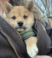 processed/9dd07f46-76e5-41bd-82ce-4d5454d90aef/facility/a92cfd32-7892-4d51-8e9b-da492220b76c