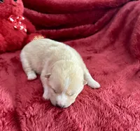 processed/9dd07f46-76e5-41bd-82ce-4d5454d90aef/listing/097bf596-8a27-44ca-80a7-9286eb9db6a0/3f342d36-e51a-4a07-b43b-f5984590020a