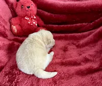 processed/9dd07f46-76e5-41bd-82ce-4d5454d90aef/listing/097bf596-8a27-44ca-80a7-9286eb9db6a0/6951a9f3-b40a-46c9-87be-52146f47a384