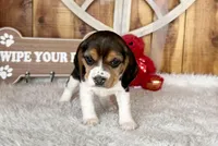 processed/9dd07f46-76e5-41bd-82ce-4d5454d90aef/listing/3f79c64c-c627-4fcd-becf-e92ec1edef4a/aea735f9-e96a-41d6-a277-cb49e5aa1b95