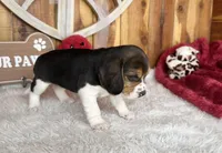 processed/9dd07f46-76e5-41bd-82ce-4d5454d90aef/listing/3f79c64c-c627-4fcd-becf-e92ec1edef4a/e3432d79-ffb7-4f23-a10f-914f073aec27