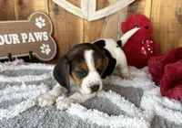 processed/9dd07f46-76e5-41bd-82ce-4d5454d90aef/listing/42f31b15-b3ef-4307-aa74-4970f00640bb/2dae2d2f-2929-43bf-9ec0-cd0f03cff55e