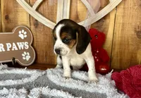 processed/9dd07f46-76e5-41bd-82ce-4d5454d90aef/listing/42f31b15-b3ef-4307-aa74-4970f00640bb/4e5d1866-a2cd-44dc-ad3a-7761dc52d459