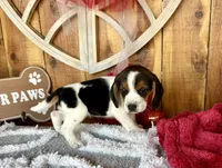 processed/9dd07f46-76e5-41bd-82ce-4d5454d90aef/listing/42f31b15-b3ef-4307-aa74-4970f00640bb/8f4728a6-4e17-4b1c-a239-02f5062e97f0