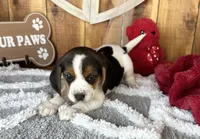 processed/9dd07f46-76e5-41bd-82ce-4d5454d90aef/listing/42f31b15-b3ef-4307-aa74-4970f00640bb/b15a6c0f-bfd5-4e5a-8096-908567e0bbb4