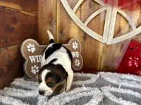 processed/9dd07f46-76e5-41bd-82ce-4d5454d90aef/listing/42f31b15-b3ef-4307-aa74-4970f00640bb/bc5c4048-3f88-4b3f-b1ce-673efebe6327