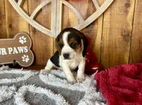 processed/9dd07f46-76e5-41bd-82ce-4d5454d90aef/listing/42f31b15-b3ef-4307-aa74-4970f00640bb/f28e464b-5121-4c77-85ab-63be2b6ce199