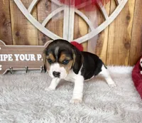 processed/9dd07f46-76e5-41bd-82ce-4d5454d90aef/listing/56413491-ccd7-43db-aadb-5ca35a817aa3/b5ff42ae-4522-4c67-b53a-87fa3bcaedd6