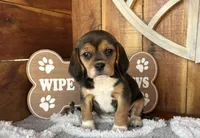 processed/9dd07f46-76e5-41bd-82ce-4d5454d90aef/listing/60cc47ab-cd84-4e18-9084-c443883a4c0f/074c0a71-5fb2-4a2e-913a-cce59431a7d4