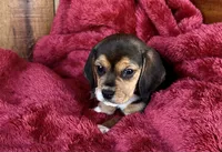 processed/9dd07f46-76e5-41bd-82ce-4d5454d90aef/listing/60cc47ab-cd84-4e18-9084-c443883a4c0f/244d1ca8-cb32-4cd4-bd5d-62864db92f3c