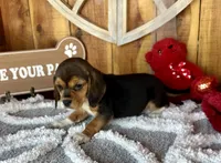 processed/9dd07f46-76e5-41bd-82ce-4d5454d90aef/listing/60cc47ab-cd84-4e18-9084-c443883a4c0f/b3b3abde-9cc9-4ca4-abef-c0a0822d7349