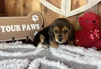 processed/9dd07f46-76e5-41bd-82ce-4d5454d90aef/listing/60cc47ab-cd84-4e18-9084-c443883a4c0f/e471d752-6bcb-4e2a-a5f5-98a163d30da0