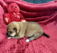 processed/9dd07f46-76e5-41bd-82ce-4d5454d90aef/listing/62dd1612-364a-4dd9-9e88-3c8071fb17b9/0f8df7d0-4de4-4c5b-a33f-d7b5fe5ee62b