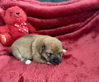 processed/9dd07f46-76e5-41bd-82ce-4d5454d90aef/listing/62dd1612-364a-4dd9-9e88-3c8071fb17b9/3c34762a-d75a-4326-bef9-0e1e6bfe0a5b