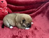 processed/9dd07f46-76e5-41bd-82ce-4d5454d90aef/listing/62dd1612-364a-4dd9-9e88-3c8071fb17b9/fd088083-6d2f-4e2a-933e-cf773e3fd203