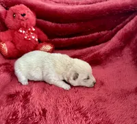 processed/9dd07f46-76e5-41bd-82ce-4d5454d90aef/listing/73f92774-d893-4855-8daf-6342bdb5f232/ac7ea61b-55a2-4b41-be2c-8bd21eb0432b