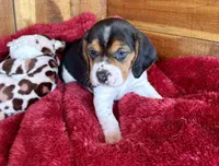 processed/9dd07f46-76e5-41bd-82ce-4d5454d90aef/listing/743c5965-fed4-46f1-8e78-d662f0c5ae1a/483fa1f2-a47d-4c50-a009-e55fd5068f9a