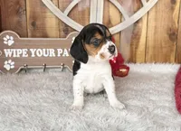 processed/9dd07f46-76e5-41bd-82ce-4d5454d90aef/listing/743c5965-fed4-46f1-8e78-d662f0c5ae1a/6b18e210-4d2b-445d-a6c2-9201139c7b4c