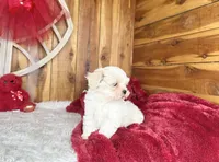 processed/9dd07f46-76e5-41bd-82ce-4d5454d90aef/listing/85e285cf-29c2-4a87-9133-3c1fe1e3e78f/e893dc30-5706-4175-b277-cbd2453ca7ed