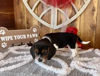 processed/9dd07f46-76e5-41bd-82ce-4d5454d90aef/listing/95d67f27-ce9a-4af6-9ac2-2c68d3c56bea/0edc40b3-8997-4d1c-b786-2cea115bbdd3