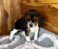 processed/9dd07f46-76e5-41bd-82ce-4d5454d90aef/listing/95d67f27-ce9a-4af6-9ac2-2c68d3c56bea/6d3eb422-9aab-4680-871a-3863394a3d61