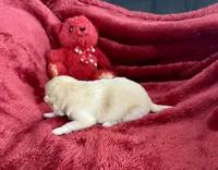 processed/9dd07f46-76e5-41bd-82ce-4d5454d90aef/listing/a4d3d8e9-b9c9-4346-8d96-aedc46acbe2f/4133e7ea-605f-40f7-a779-2f6b3d01ee28