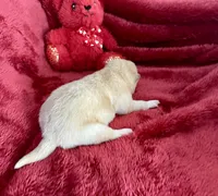 processed/9dd07f46-76e5-41bd-82ce-4d5454d90aef/listing/a4d3d8e9-b9c9-4346-8d96-aedc46acbe2f/8339115f-1221-4d62-877a-0bf444f33678